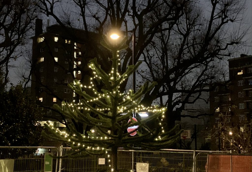 Monkey Puzzle Tree with Christmas Lights